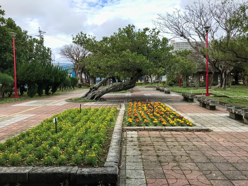 🌸 요기 공원(요기코엔) 이미지 1